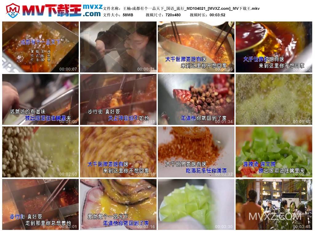 王楠-成都有个一品天下_国语_流行_MD104021